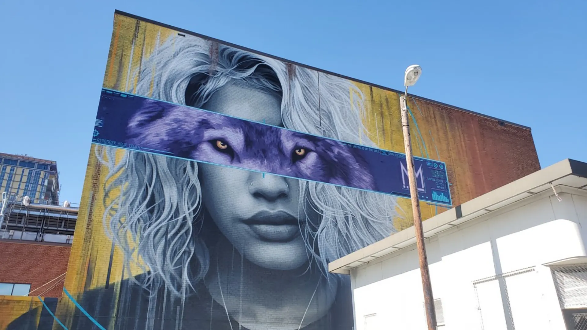 A large mural depicting a woman with a wolf face on the side of a building, showcasing vibrant colors and intricate details.
