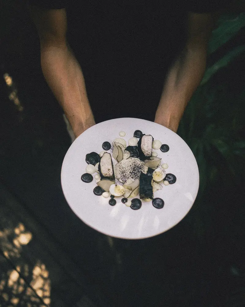 Platillo de comida con ingredientes como huevo, trufa y yogur, sostenido por manos masculinas en el restaurante Ocumare, Be Tulum, con la naturaleza selvática en el fondo.