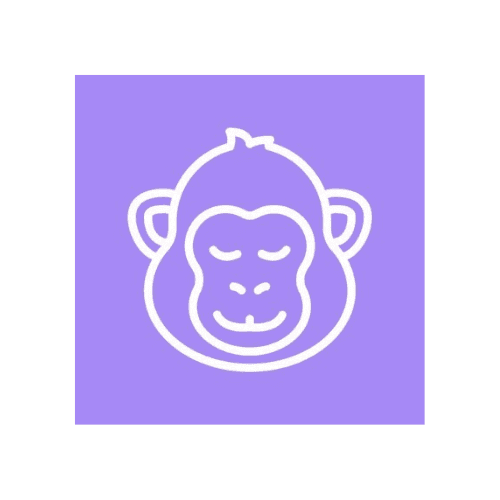 CopyMonkey Logo