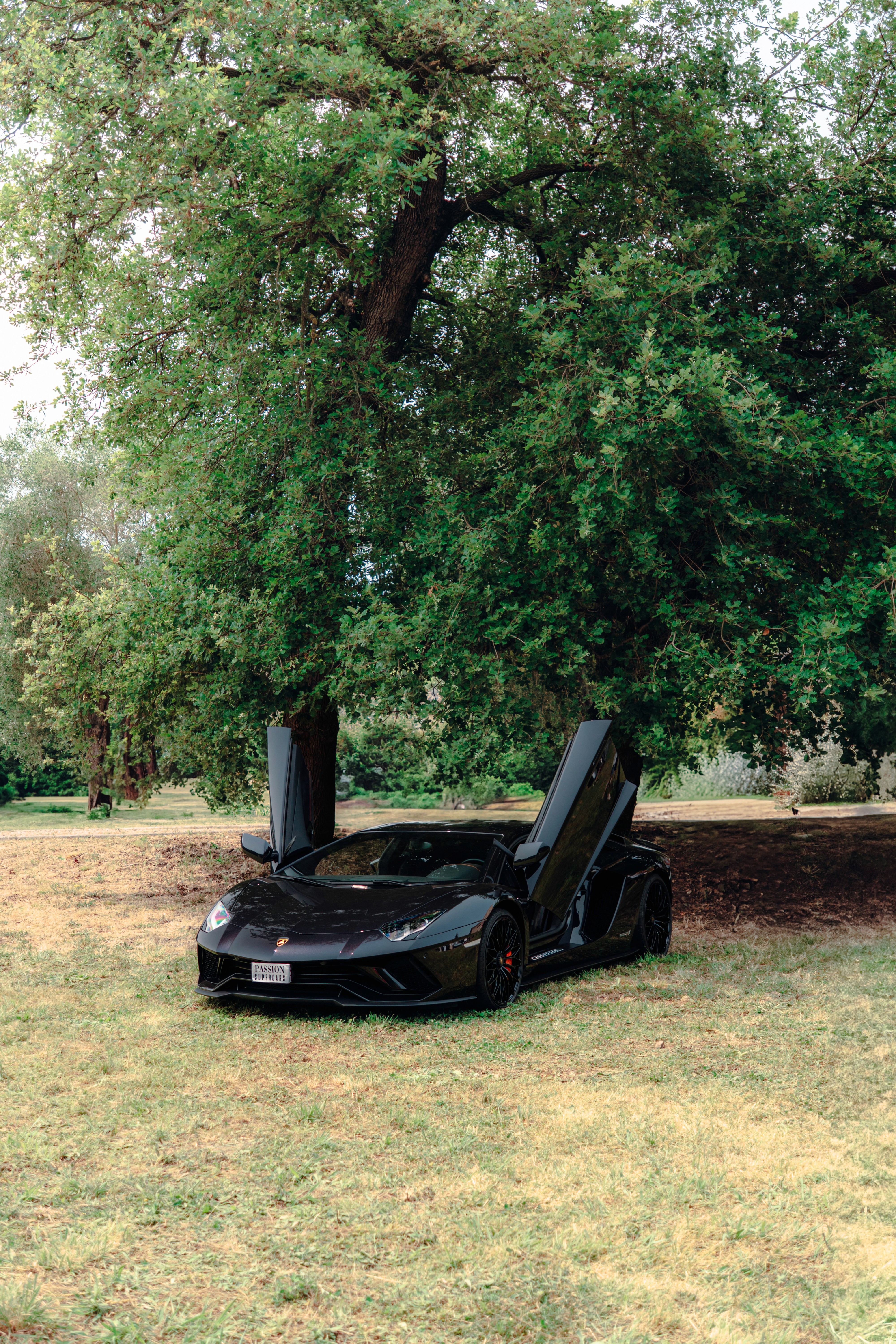 Lamborghini Aventador