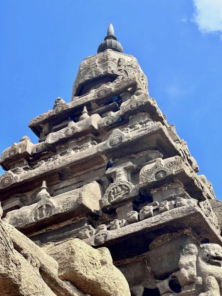 The finial atop the shikhara at the Shore temple of Mahablipuram.