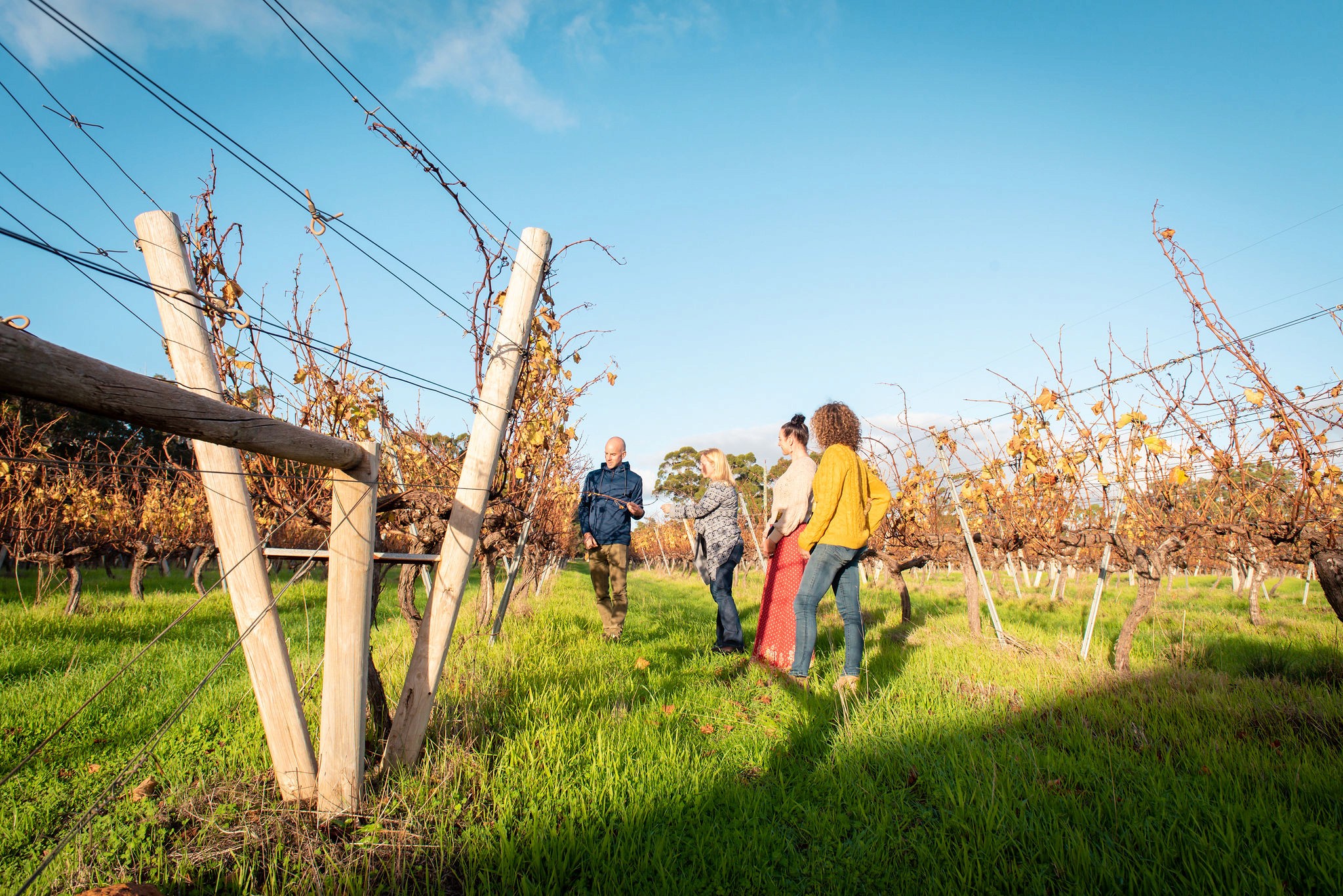 vineyard education ashbrook