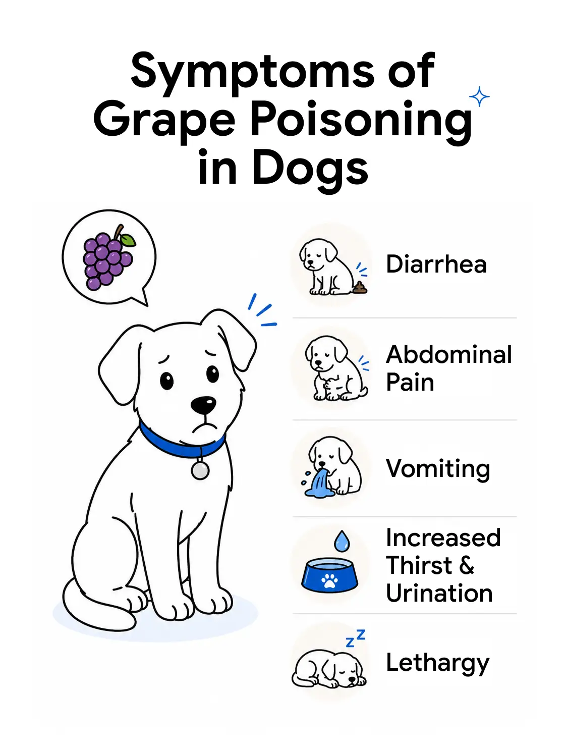 An infographic detailing the symptoms of grape poisoning in dogs.