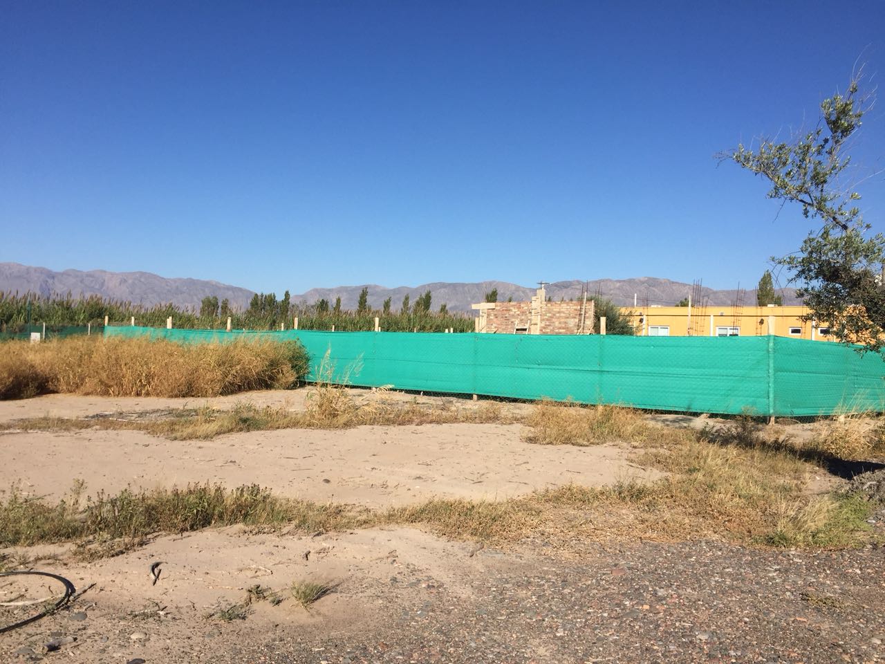venta de 3 lotes en san juan de los olivos 