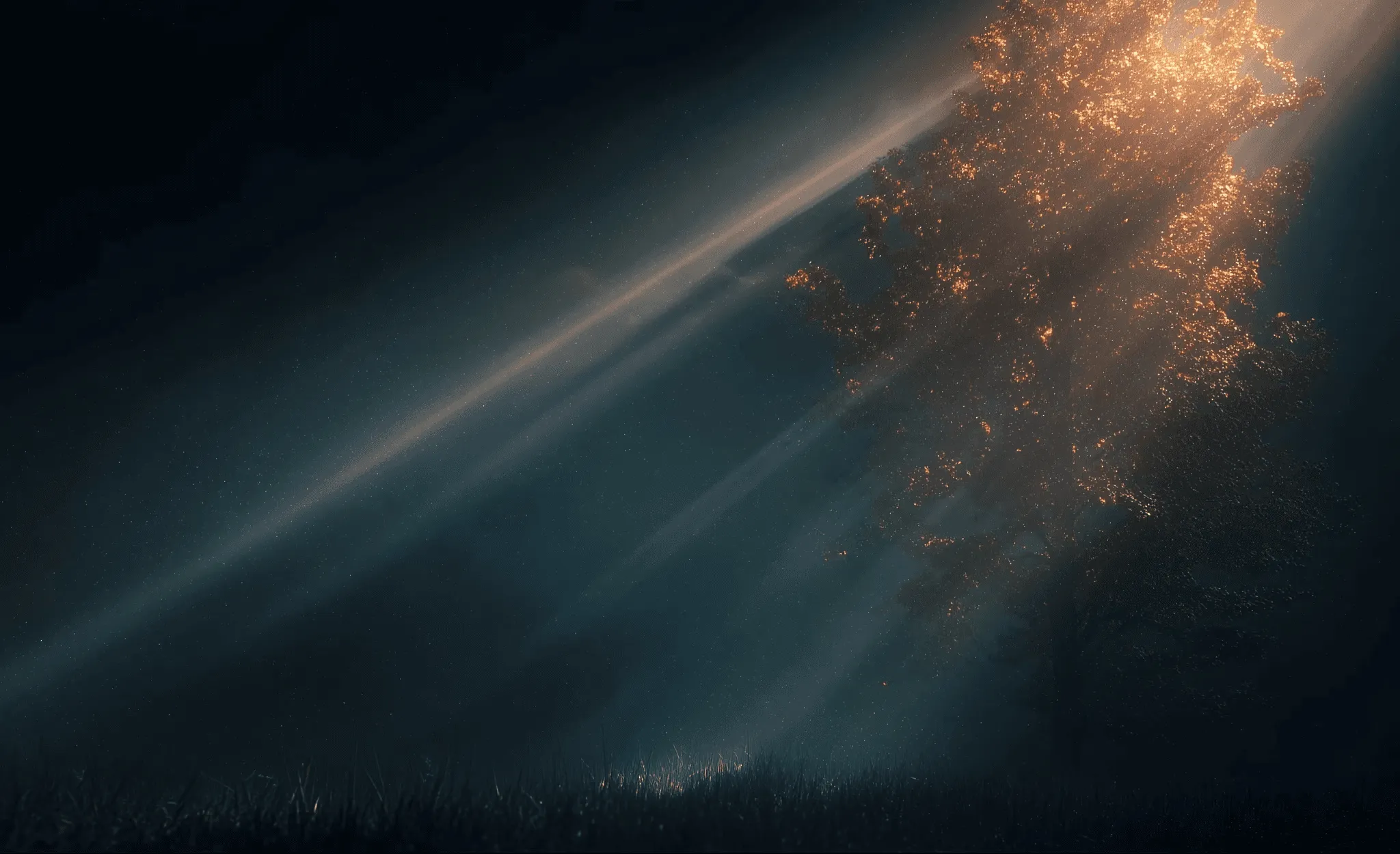 Spring Tree in Sunset Image