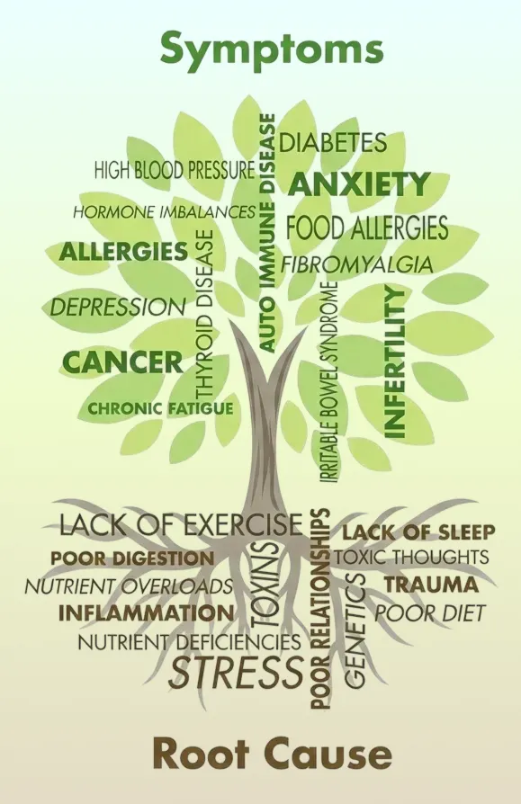 Functional Medicine Tree