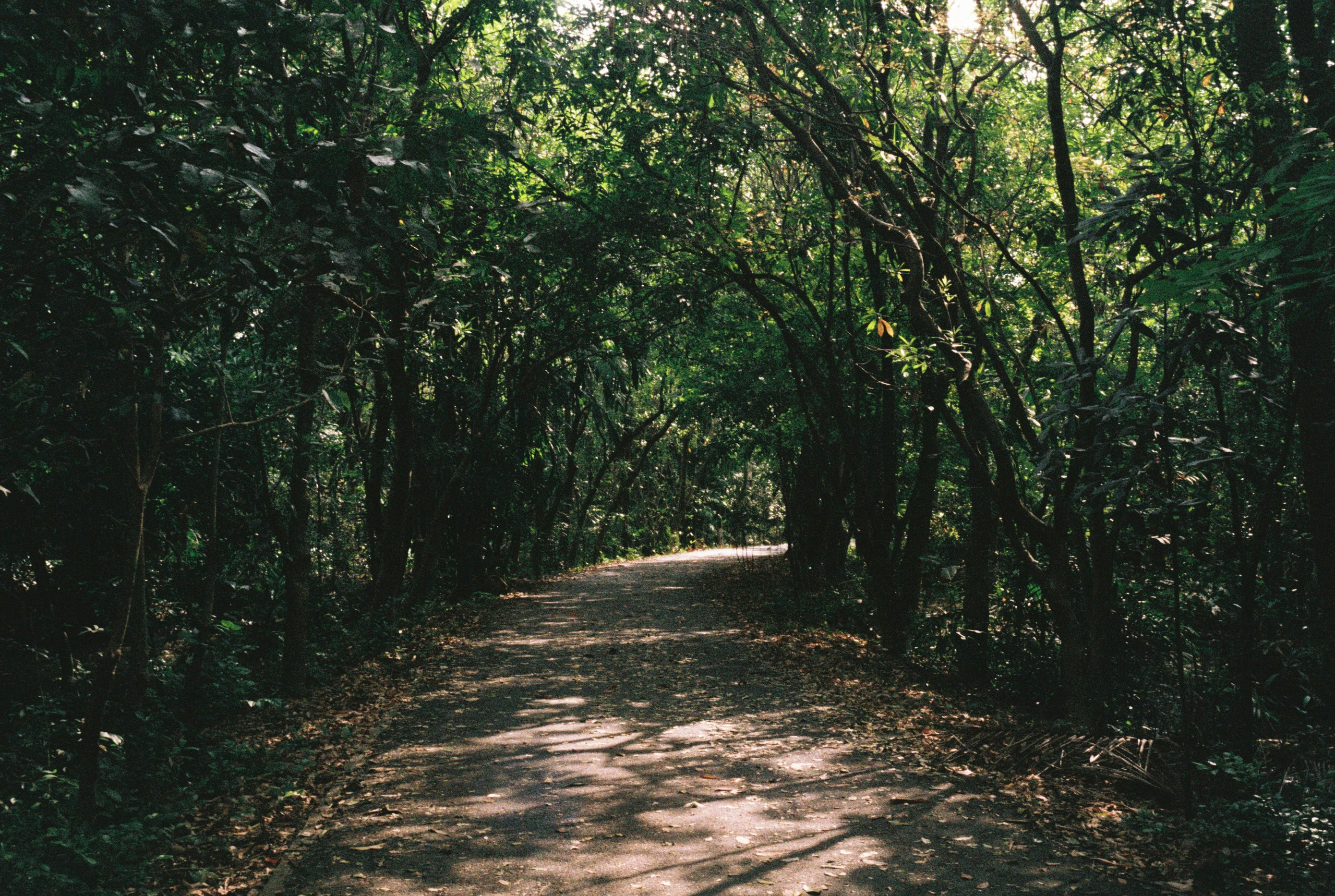 Group of men surfing