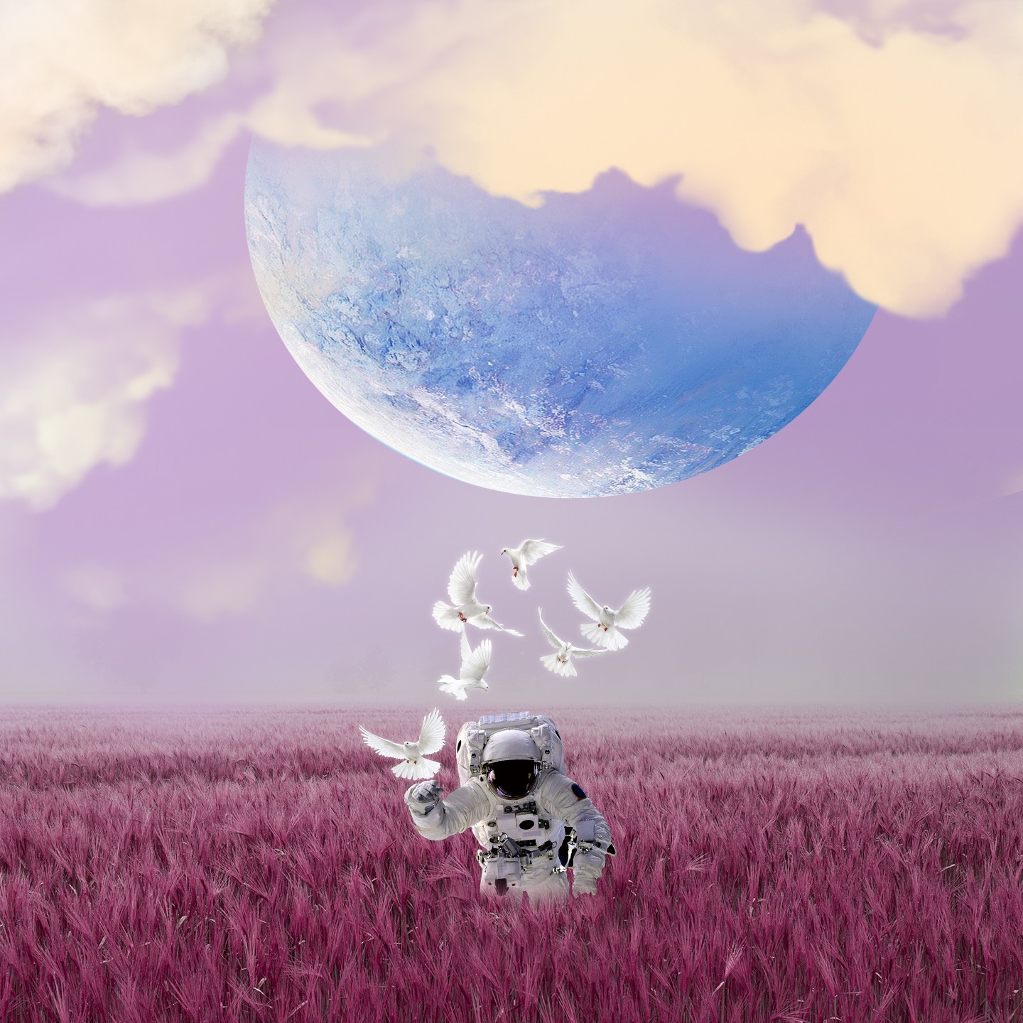 Celestial Sanctuary preview