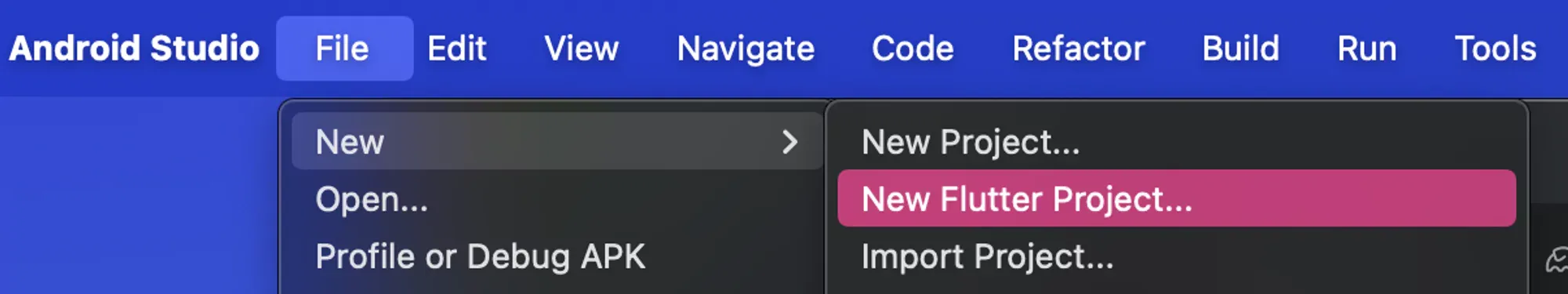 Flutter project on Android Studio.