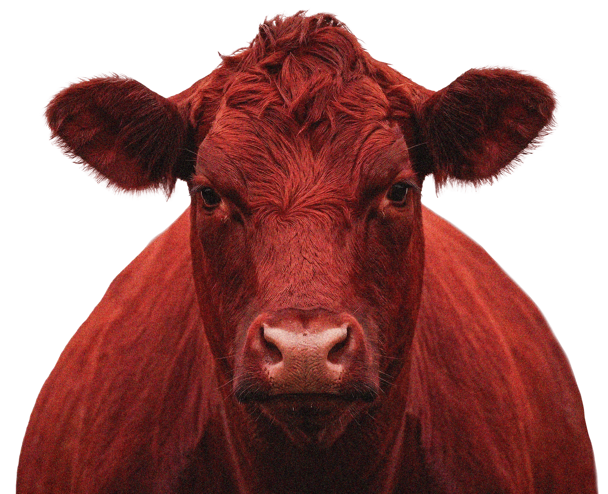 Residential Plumbing