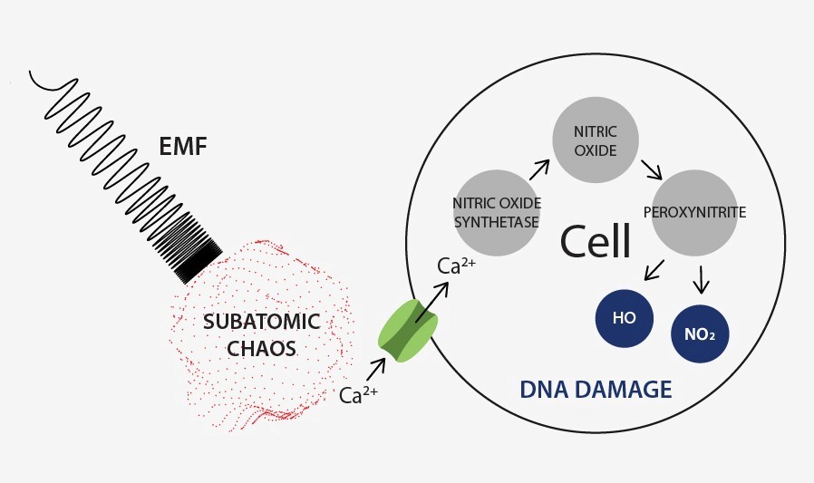 EMF remediation process to reduce exposure