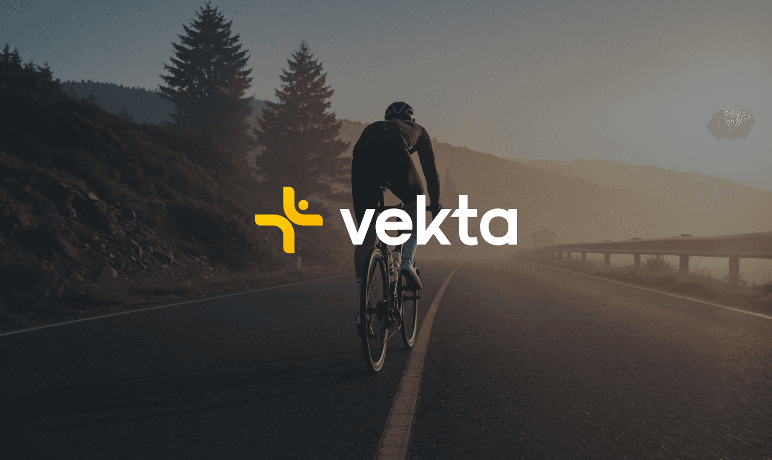 From Arkéa Pro Cycling to Vekta