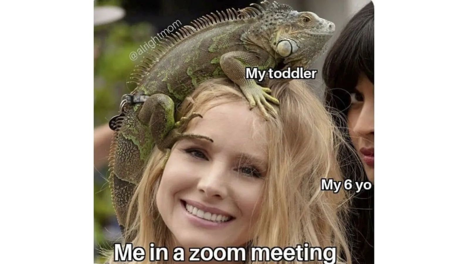 37 Zoom memes that made us cry