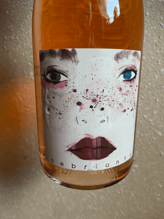 Review of wine Pazo das Bruxas Albariño 2024 from Familia Torres (Rías Baixas, Spain)