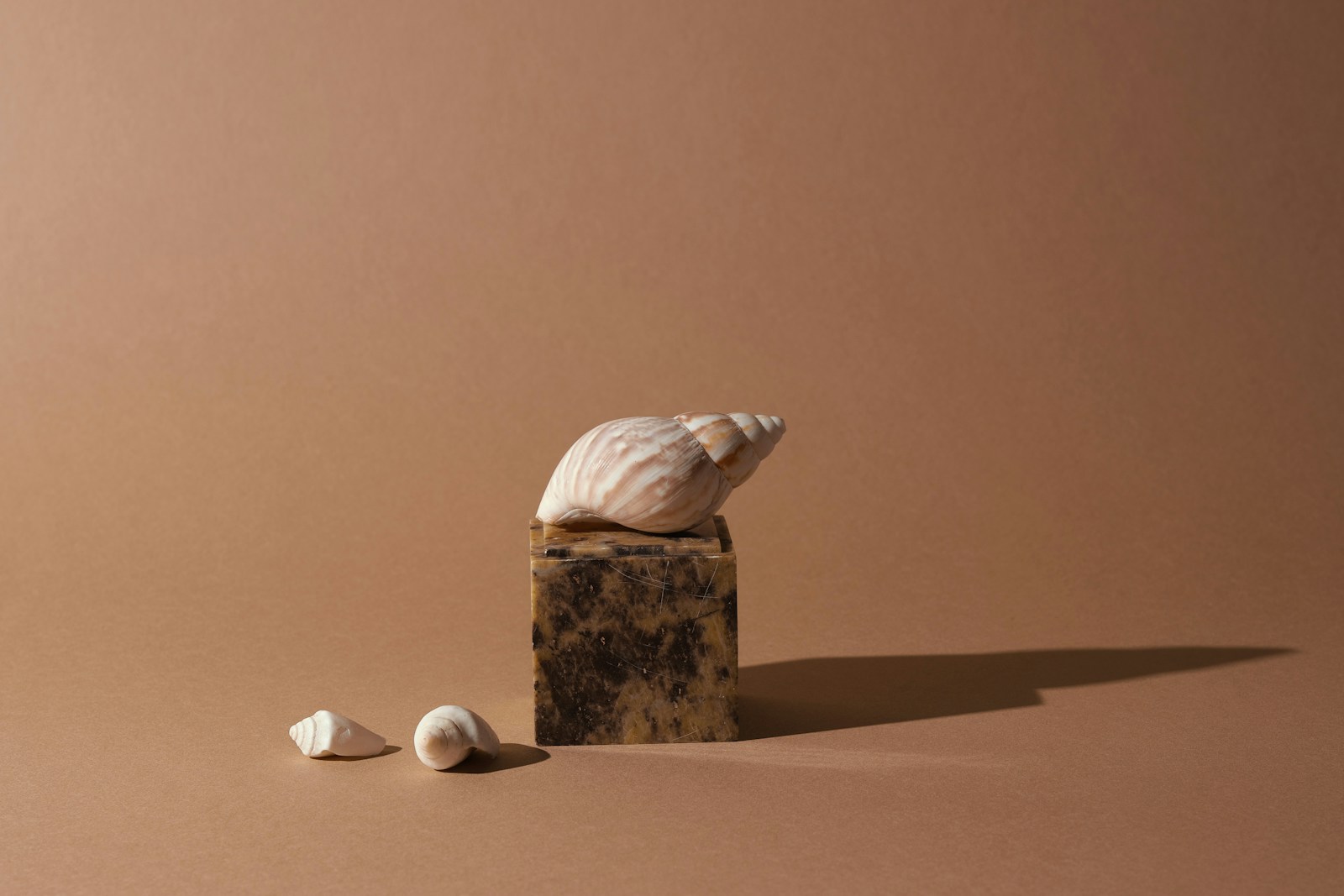 Shellhouse