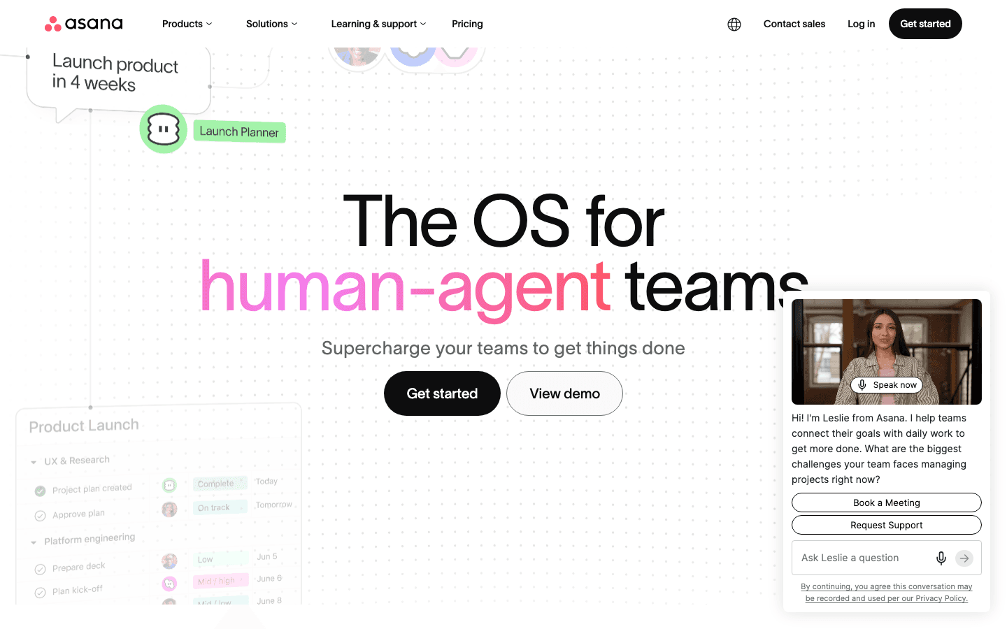 Asana project management workflow software