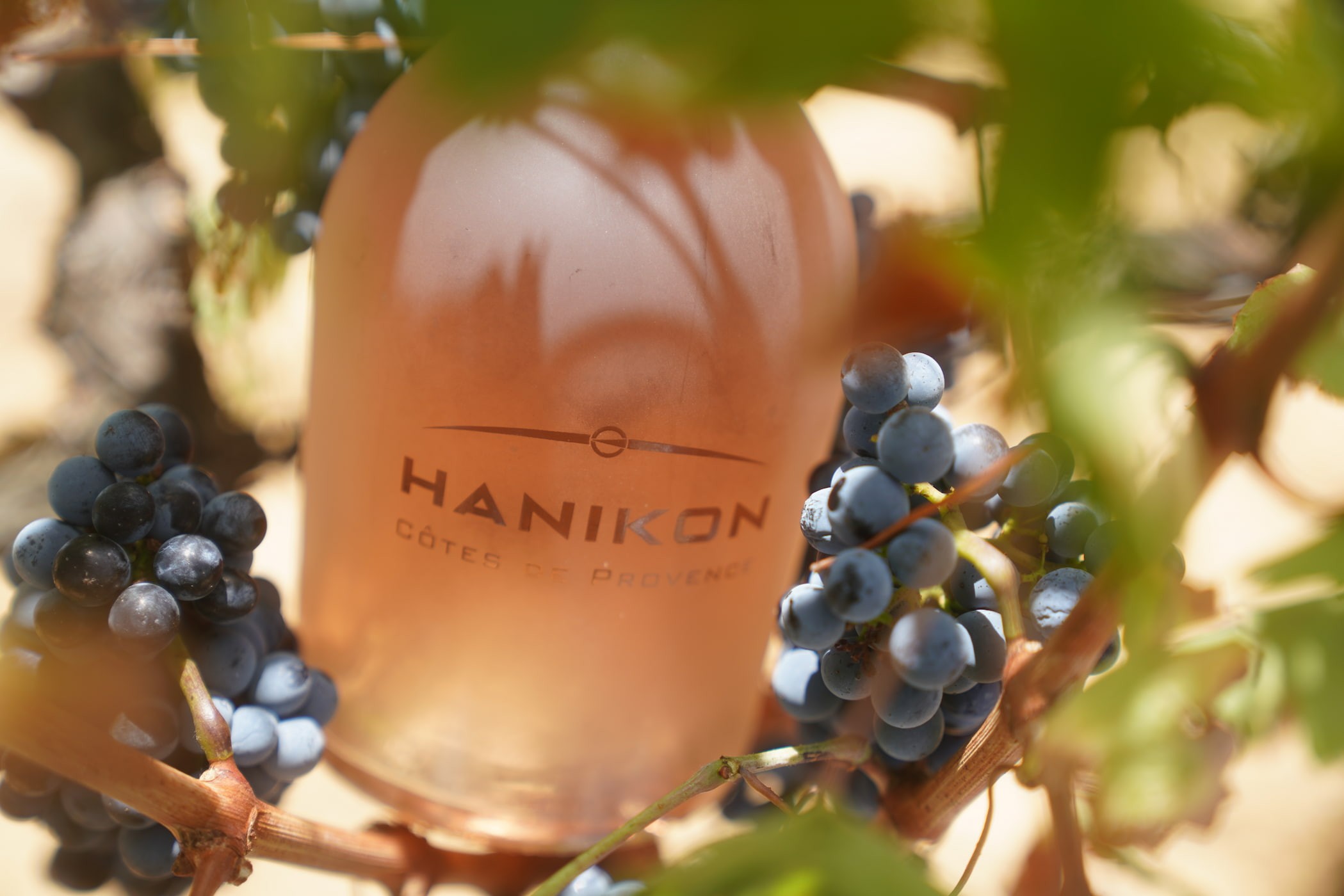 Le Toiny X Hanikon Rosé