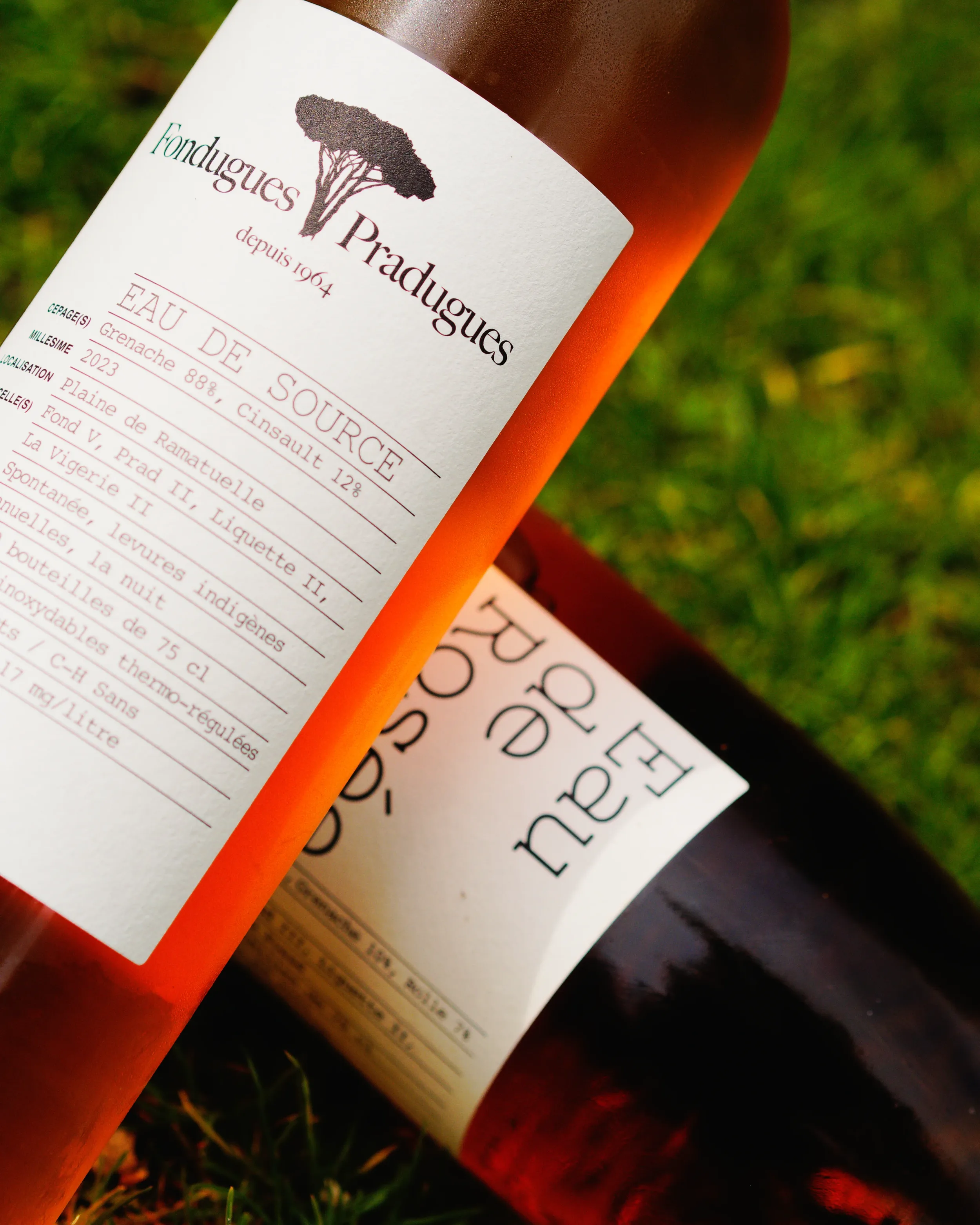 Photographies sensibles et naturelles mettant en valeur les bouteilles de vin nature vendues par Paris 90 à Copenhague