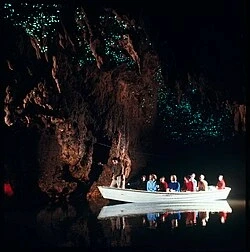 Tourists exploring glowworm cave