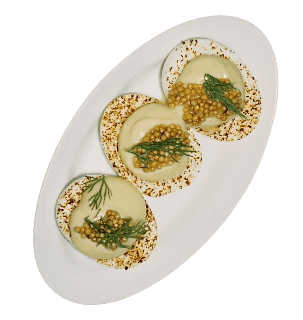 Tarántula food
