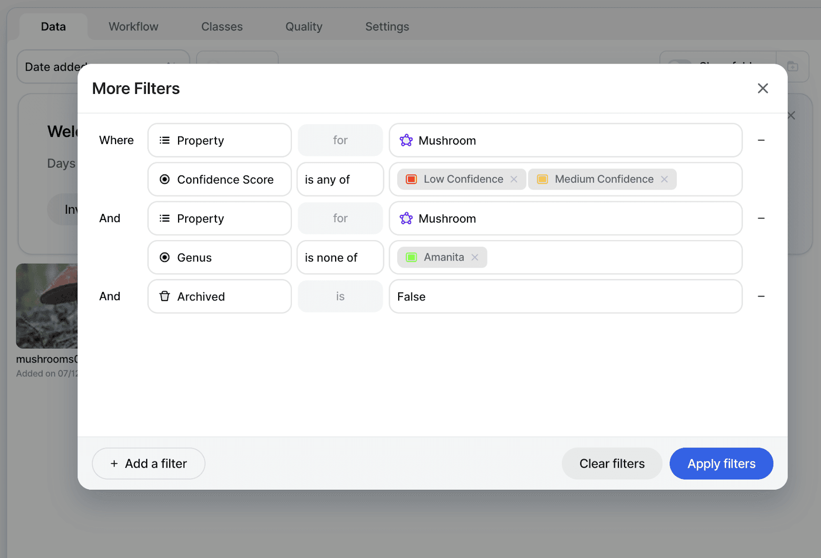 finding issues in datasets with filters