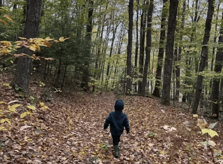 A child walking through colorful autumn leaves on a wooded hiking trail at Pine Hollow Campground during peak foliage season in Vermont.