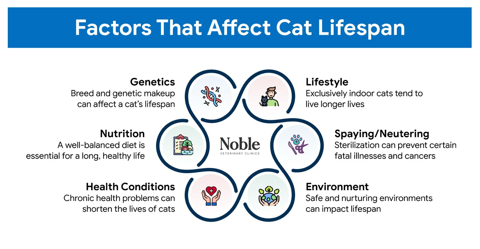 An infographic showing the factors that affect a cat's lifespan.