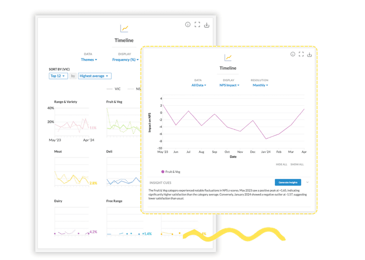 Customer journey map Kapiche