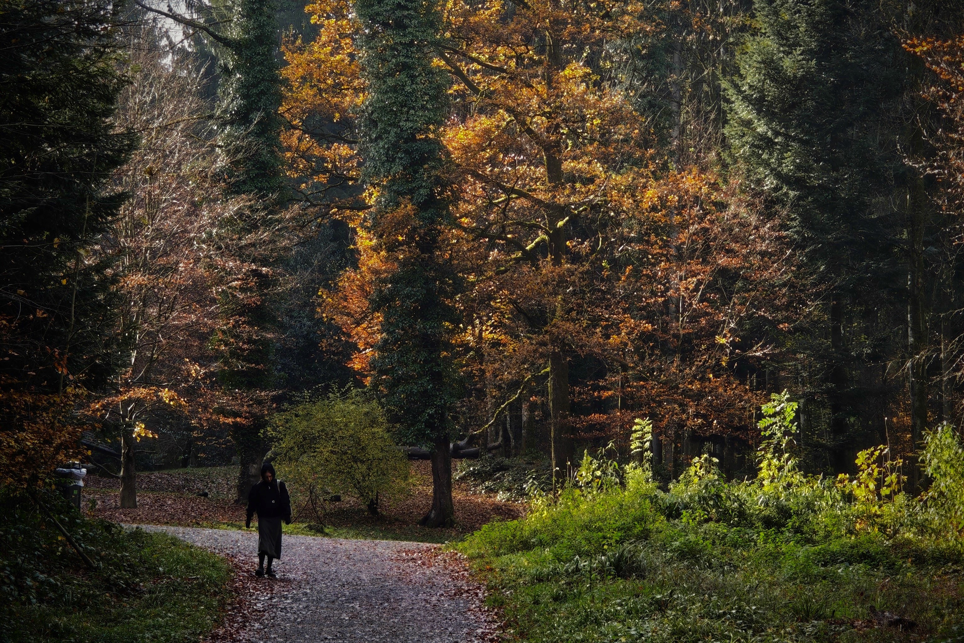 Erschöpfter Mensch läuft auf einem Waldweg
