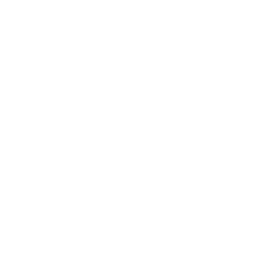 Analytics and Optimization Icon