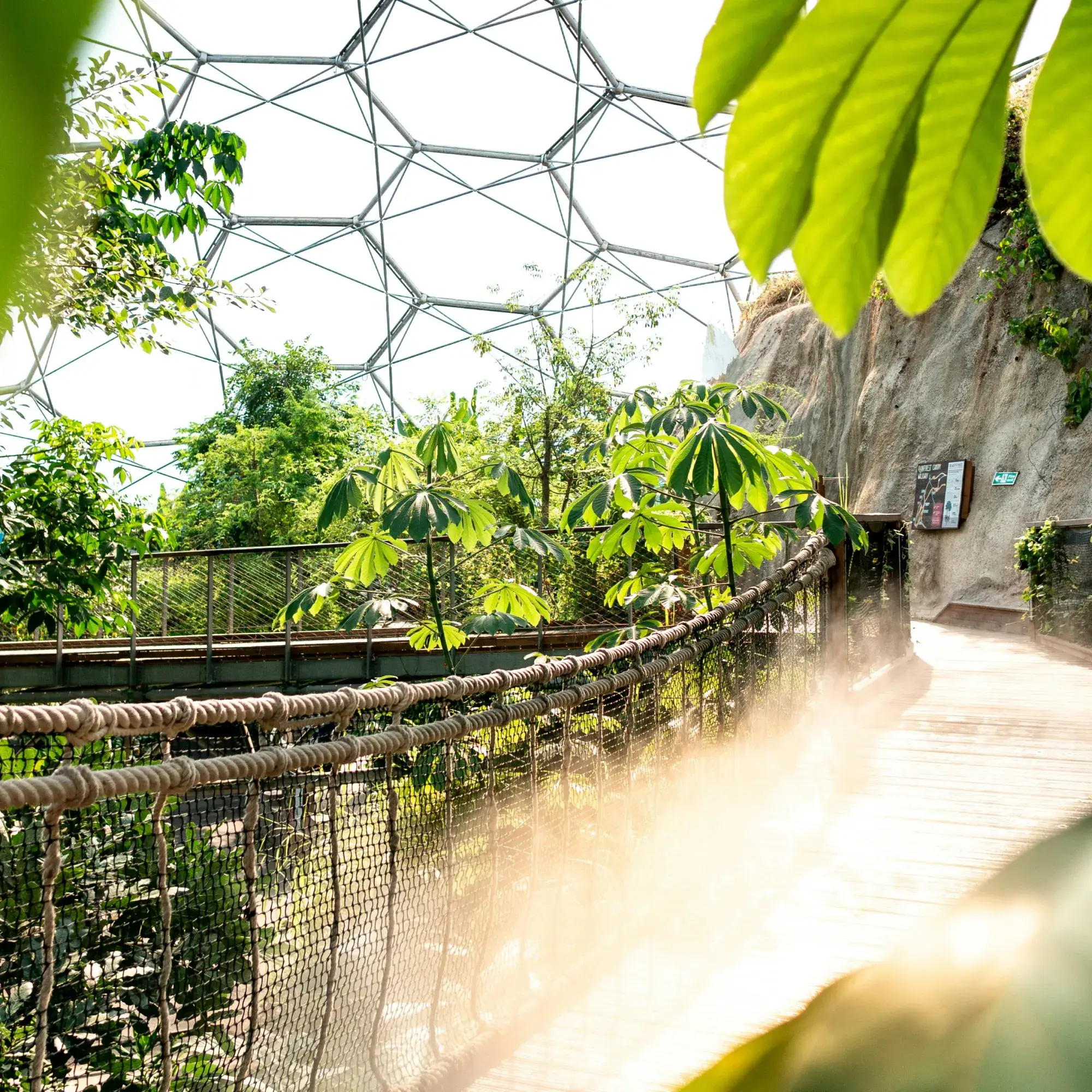 brown wooden bridge at daytime