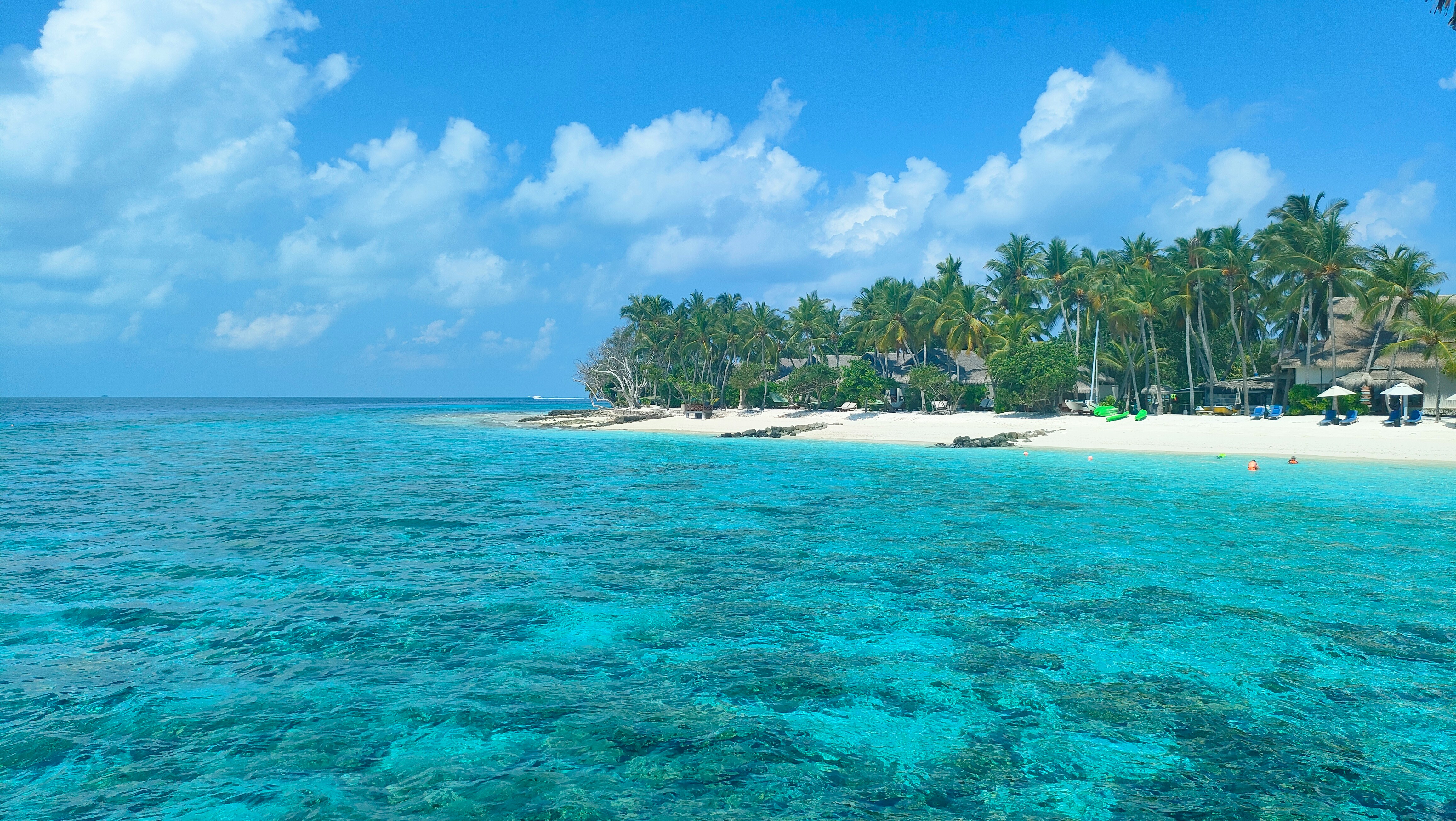 a beach with palm trees and blue water