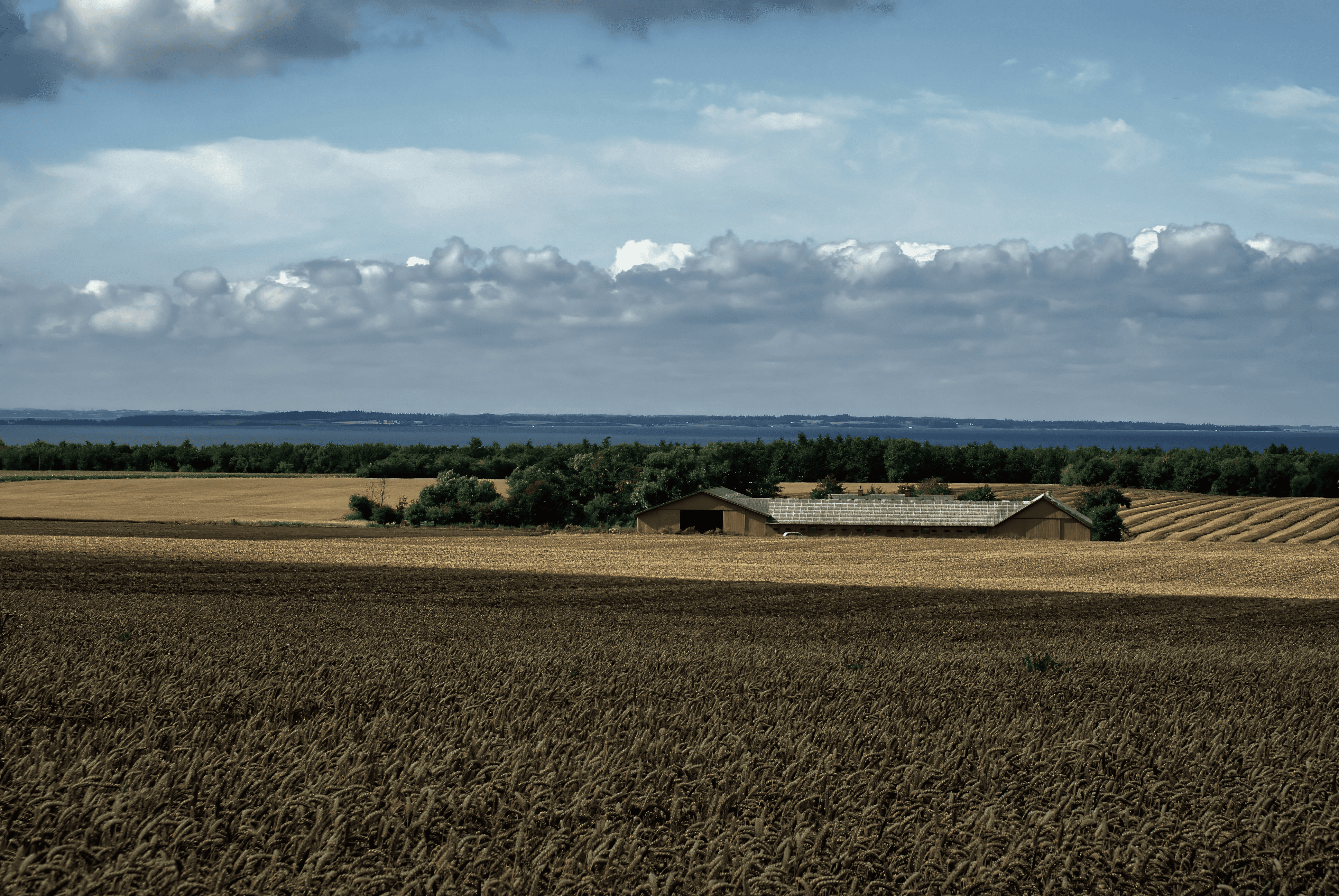 Aerial view of a harvested agricultural field with farm buildings in the distance, representing the abundance of straw waste that Strawtown transforms into building materials