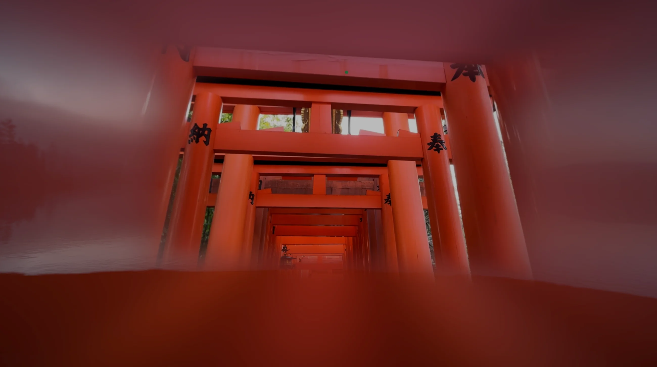 Immersive View - Spatial Film