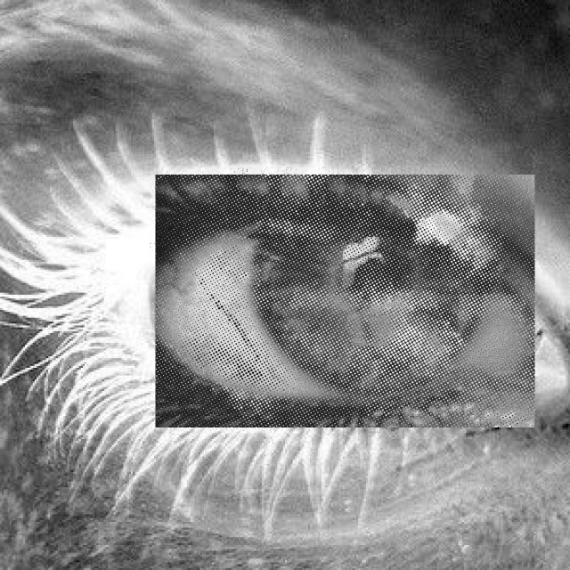 A monochromatic, abstract image of an eye with exaggerated eyelashes, featuring a smaller eye embedded within, creating a surreal, layered effect.
