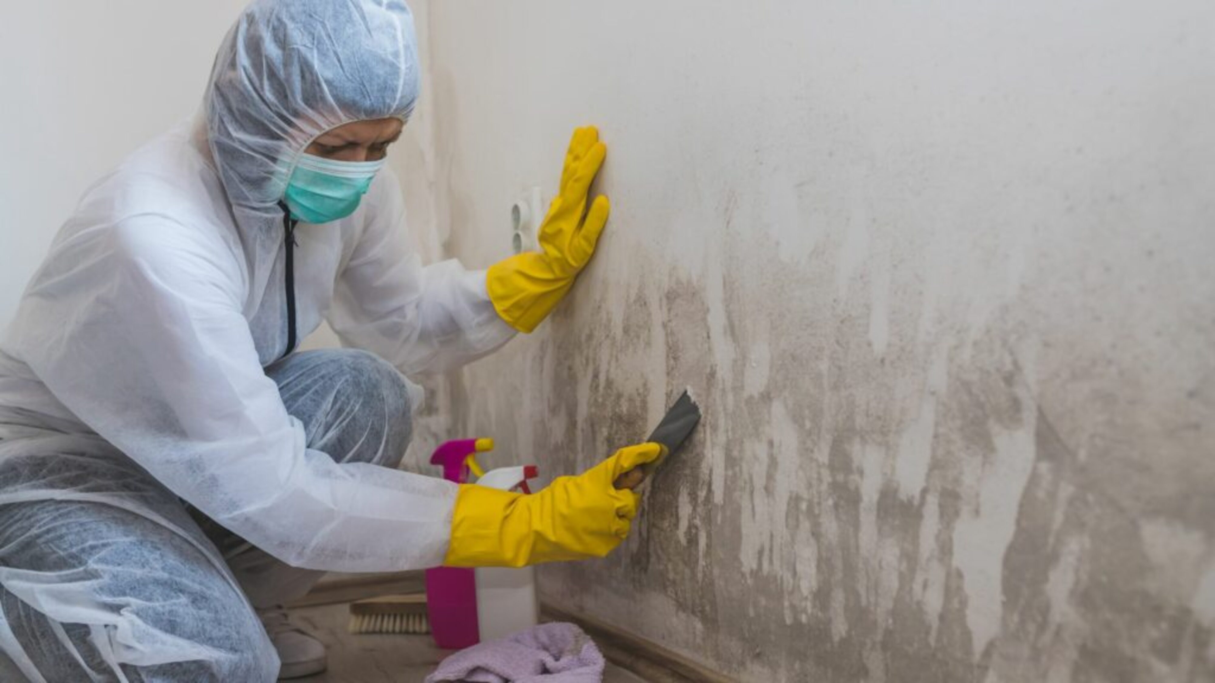 Mold Remediation