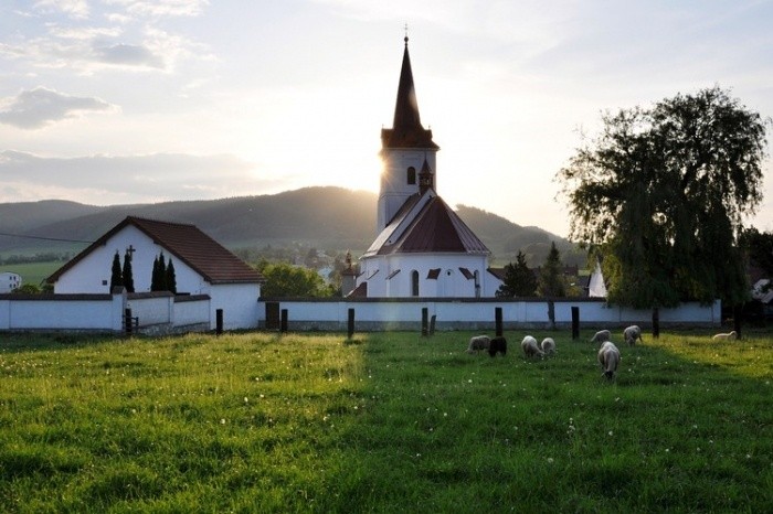 photo from unsplash as placeholder