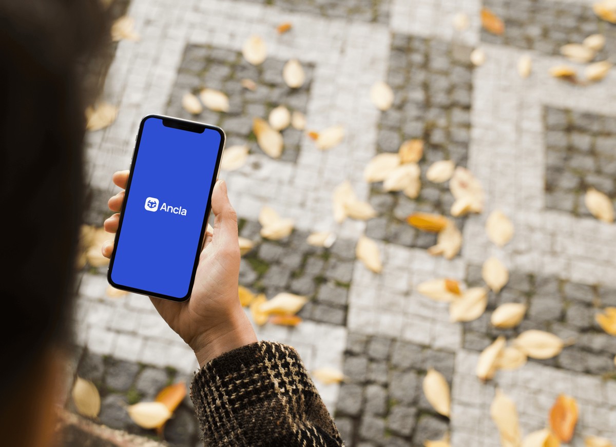 An image of Freelio's project ui