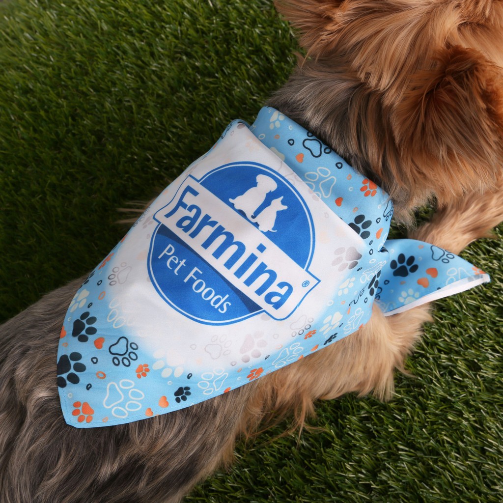A terrier laying on fake grass wearing a customized bandana on the back of it's neck.