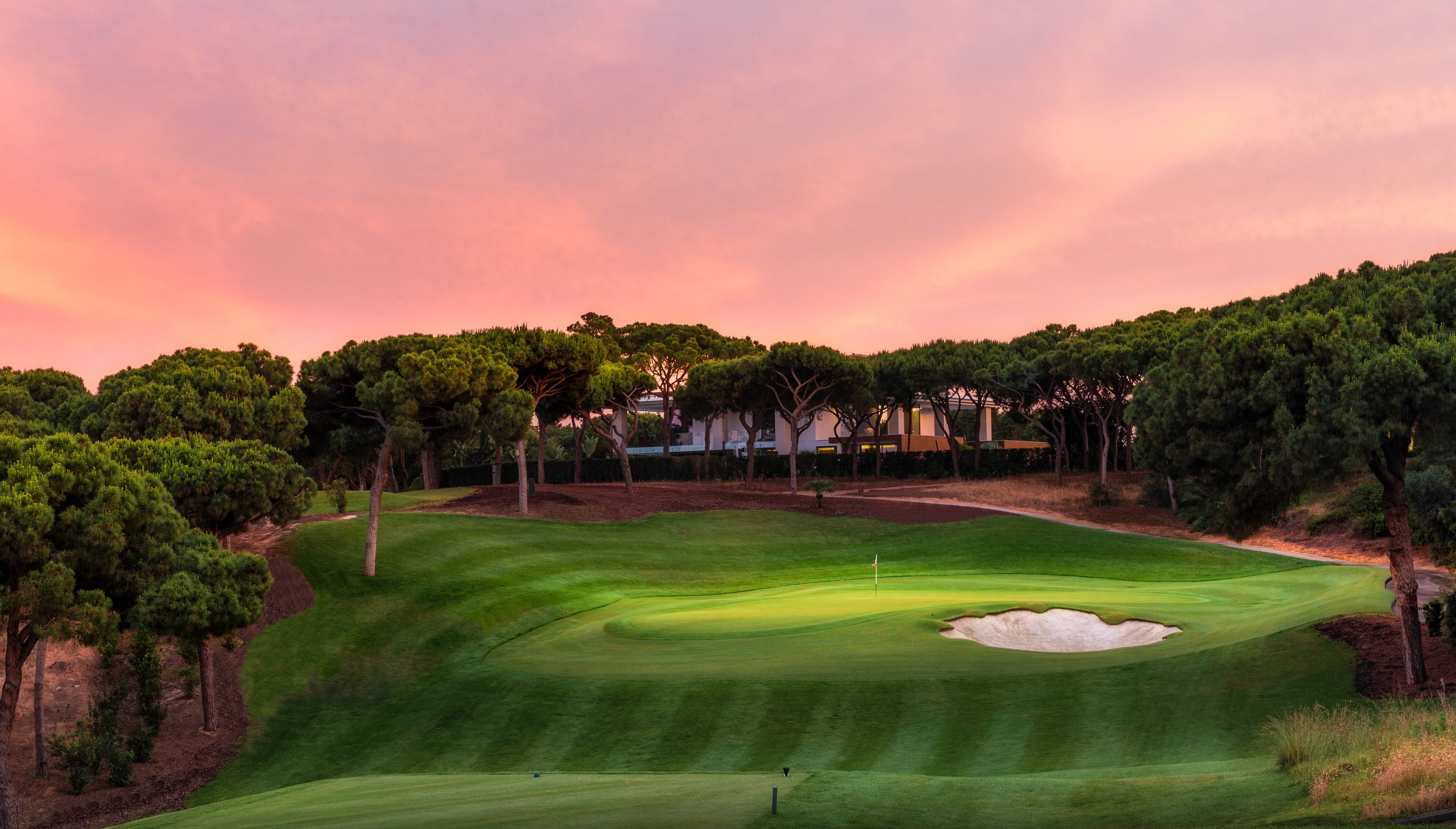 REV Rentals luxury vehicles and golf course sunsets