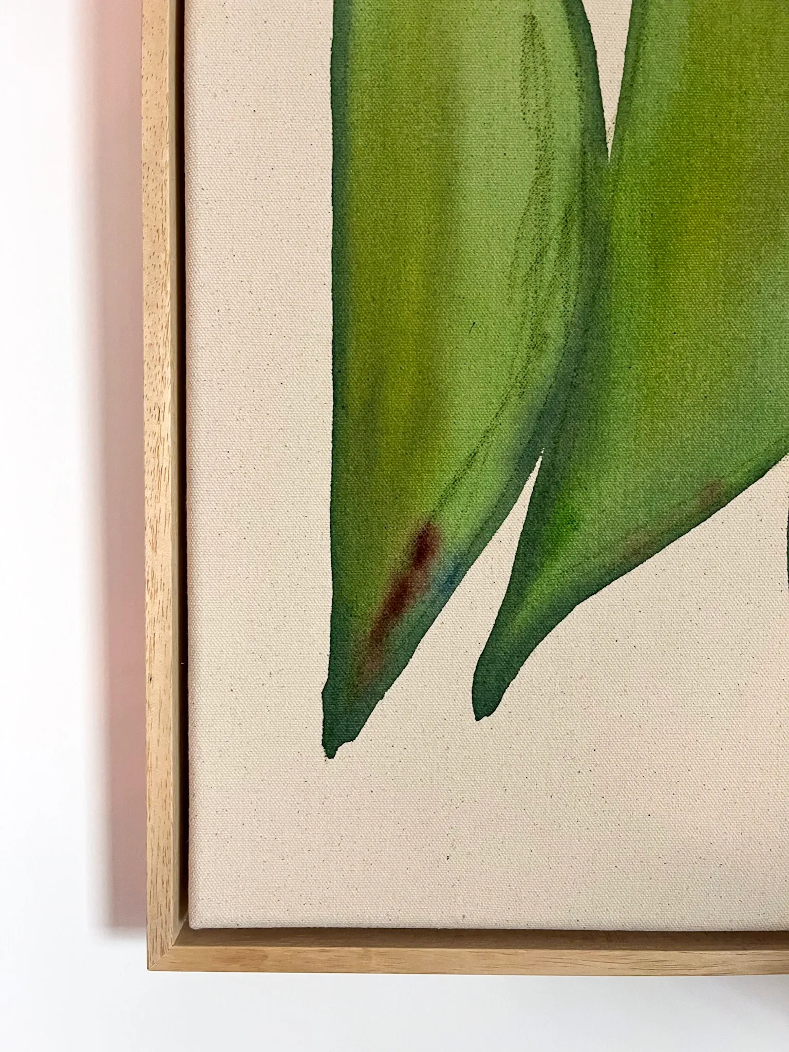 Close-up of a leaf illustration with green tones against a light background and subtle framing.