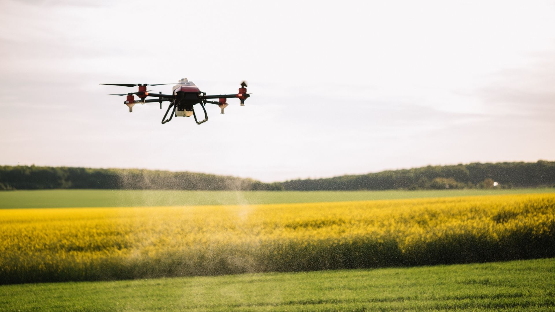 What are the Key Benefits of Drones in Crop Spraying?