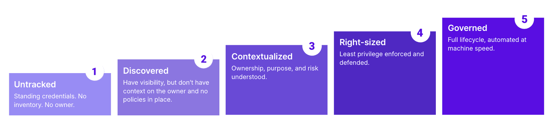 Five Stage Maturity Model