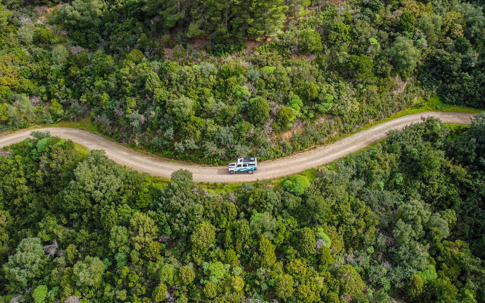 4x4 vehicle on a winding dirt road through lush forest in Chia, Sardinia.