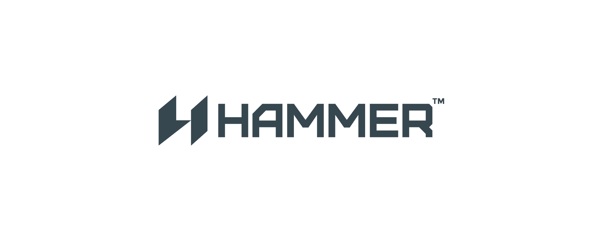 Hammer brand identity mockup