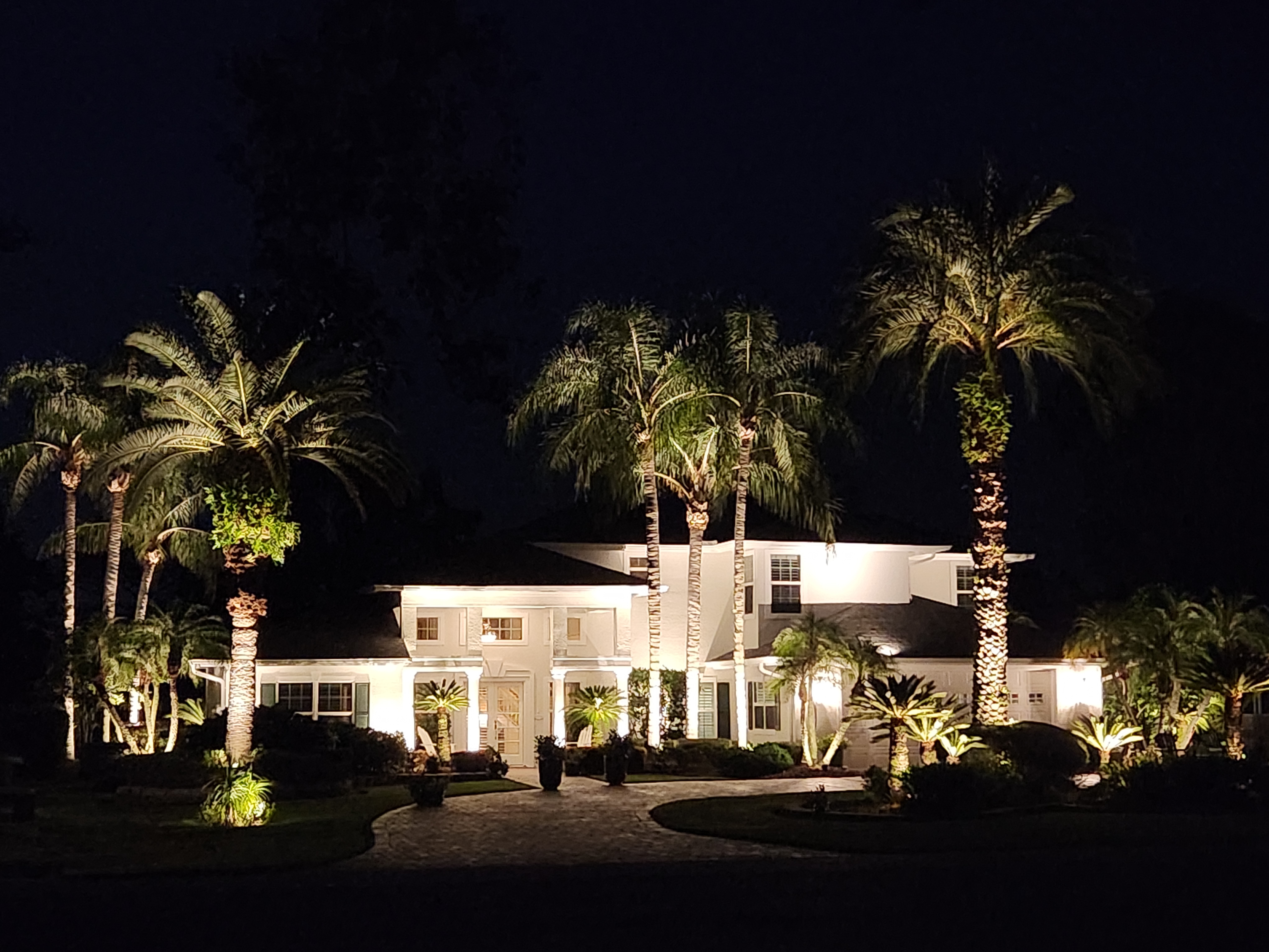 Large Florida estate with professionally designed palm tree uplighting and driveway illumination