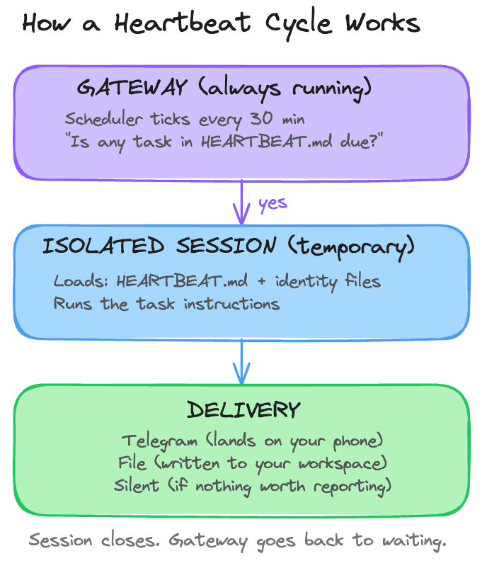 How a heartbeat cycle works