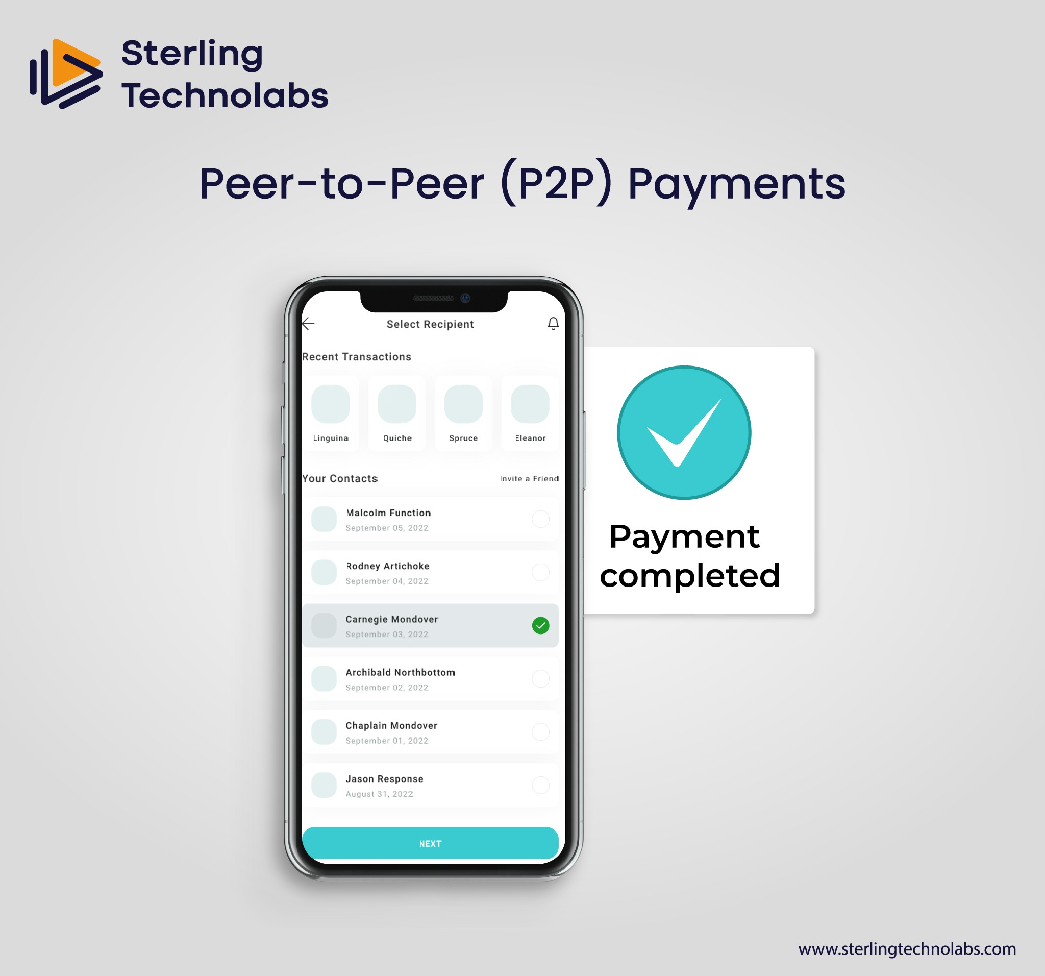 Peer-to-Peer (P2P) Payments