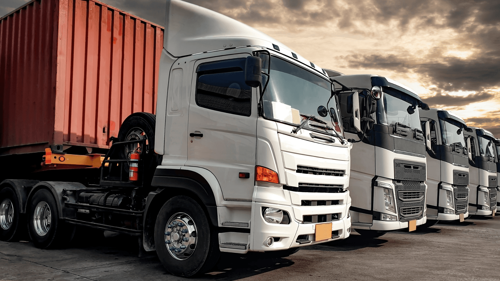 Fleet of heavy-duty transport trucks lined up for long-haul cargo delivery across Southern Africa.