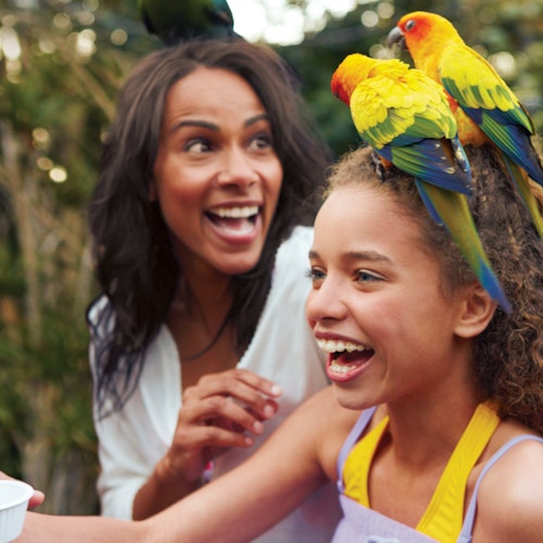 Two people smiling with colorful parrots perched on a girl's head in an outdoor setting.